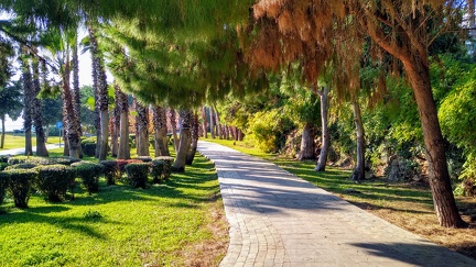 IMG 20201220 142423291 HDR