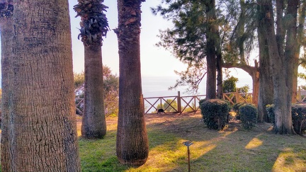 IMG 20201220 142454822 HDR