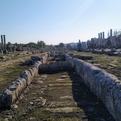 Perge
