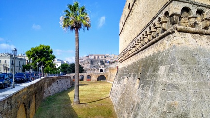 IMG 20200725 082552582 HDR