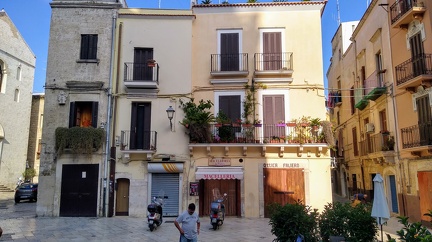 IMG 20200725 082825086 HDR