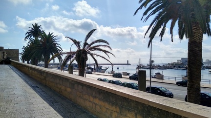 IMG 20200725 084550442 HDR