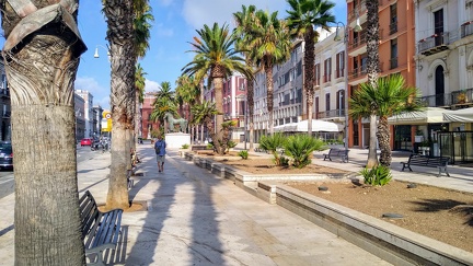 IMG 20200725 090025052 HDR