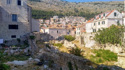 IMG 20200723 162156395 HDR