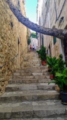 IMG 20200723 174933738 HDR