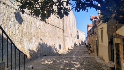 IMG 20200723 175252569 HDR