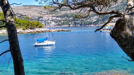 IMG 20200722 114952159 HDR