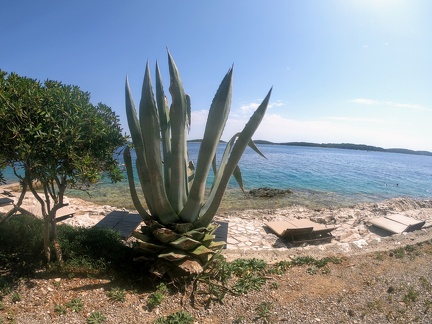 GOPR5415 1593766495038