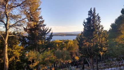 IMG 20200708 192404810 HDR