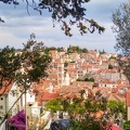 IMG 20200704 175807986 HDR