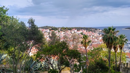 IMG 20200704 180619487 HDR