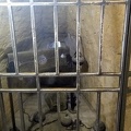 IMG 20200704 190742174
