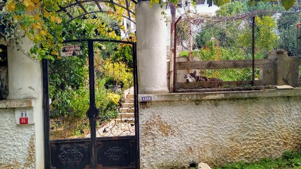 IMG 20201109 141423216 HDR