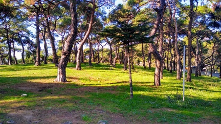 IMG 20201109 142405650 HDR