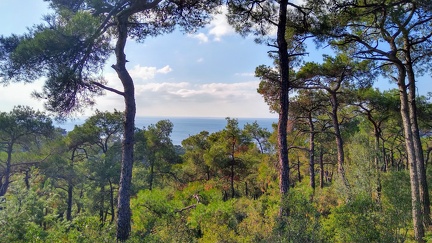 IMG 20201109 143419149 HDR