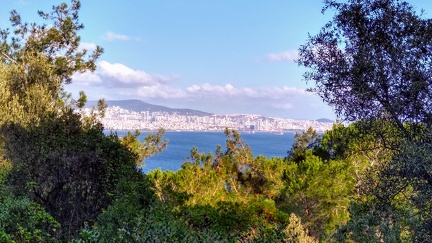 IMG 20201109 145742645 HDR