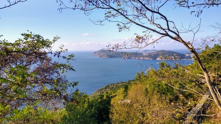 IMG 20201109 151924392 HDR
