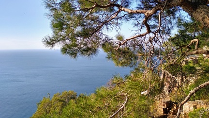 IMG 20201109 152210233 HDR