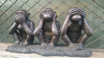 IMG 20200919 173505074