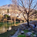 IMG 20200117 133201075 HDR