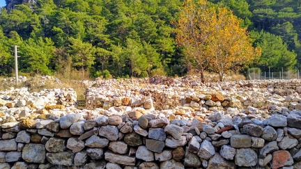 IMG 20201209 135811283 HDR