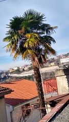 IMG 20200103 122206615 HDR