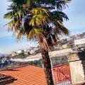 IMG 20200103 122206615 HDR