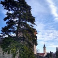 IMG 20200103 123758176 HDR