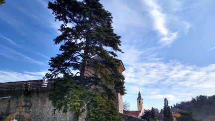 IMG 20200103 123758176 HDR