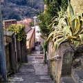 IMG 20200103 135835129 HDR
