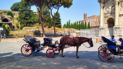IMG 20200729 120101179 HDR