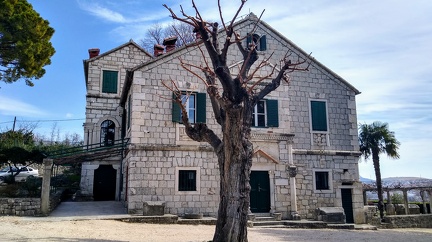 IMG 20200313 121004640 HDR