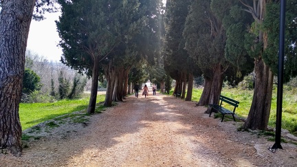 IMG 20200313 121102252 HDR