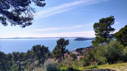 IMG 20200309 121127607 HDR