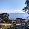 IMG 20200309 122054184 HDR