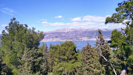 IMG 20200309 122352590 HDR