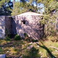 IMG 20200309 123753283 HDR