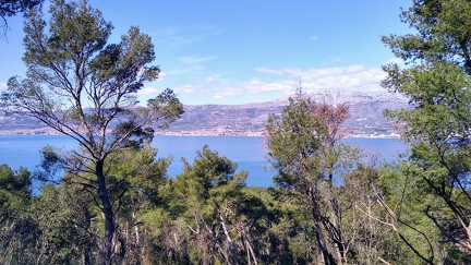 IMG 20200309 131544885 HDR