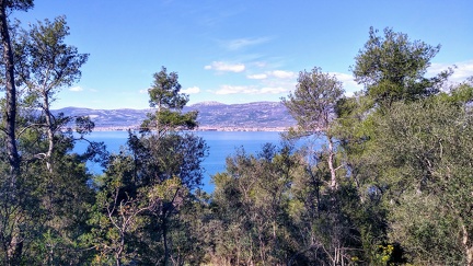IMG 20200309 133009307 HDR