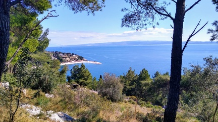 IMG 20200309 133751977 HDR