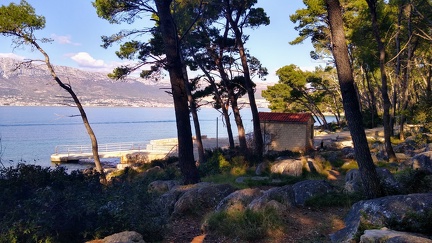 IMG 20200309 144554718 HDR