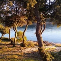 IMG 20200101 155734495
