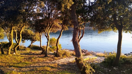 IMG 20200101 155734495