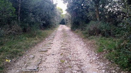 IMG 20200101 162151336