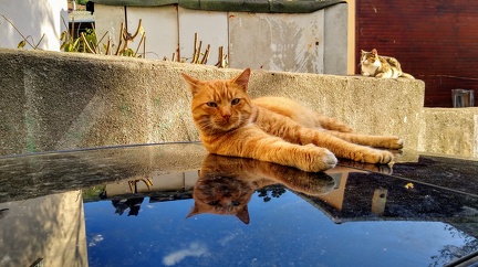 IMG 20201117 153706286 HDR