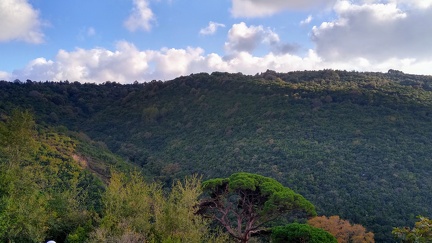 IMG 20201117 160246518 HDR