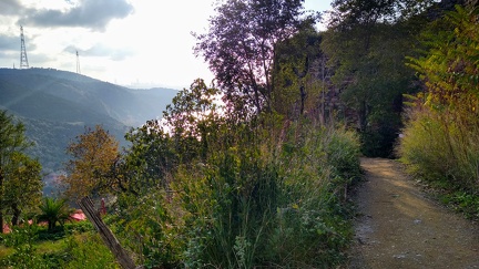 IMG 20201117 160706082 HDR