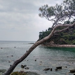 Phaselis