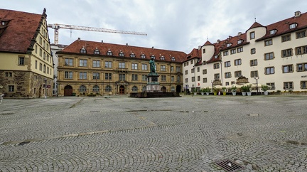 PXL 20210801 090614799